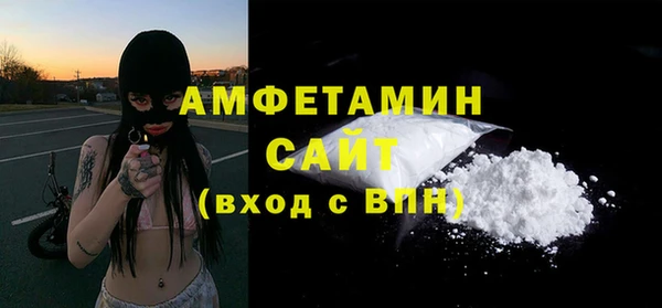 тгк Ельня