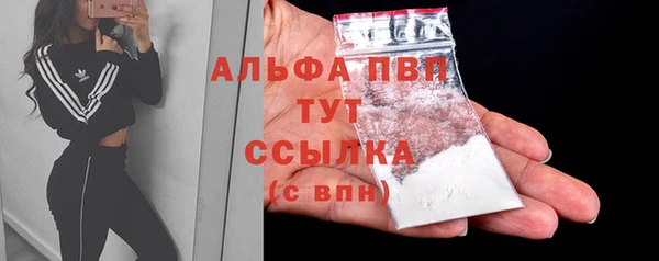 тгк Ельня