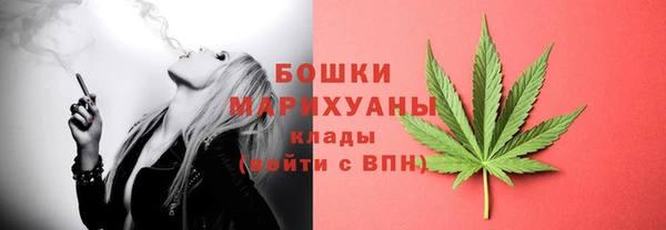 дживик Елабуга