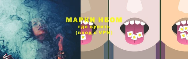 дживик Елабуга