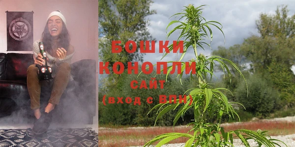 тгк Ельня