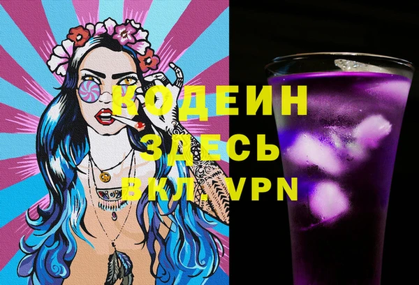 тгк Ельня