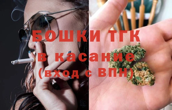 тгк Ельня