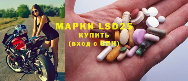 тгк Ельня