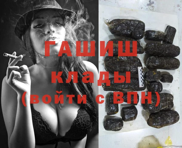 тгк Ельня