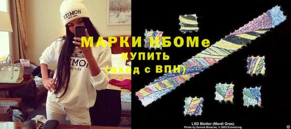 дживик Елабуга