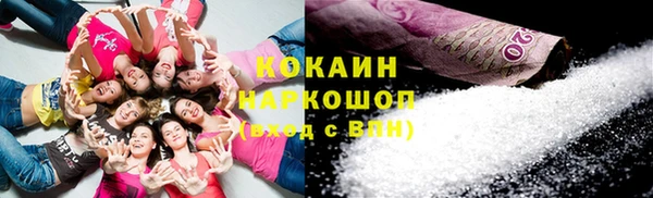 тгк Ельня