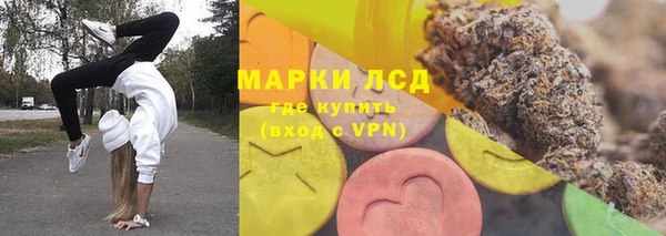 дживик Елабуга