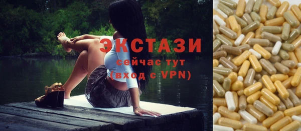 тгк Ельня