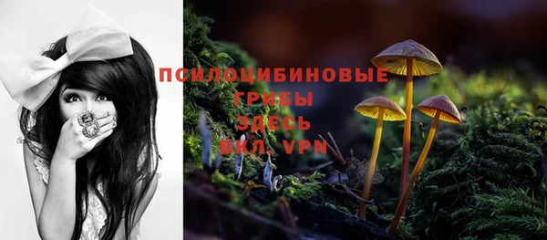 тгк Ельня