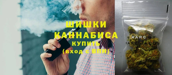 дживик Елабуга